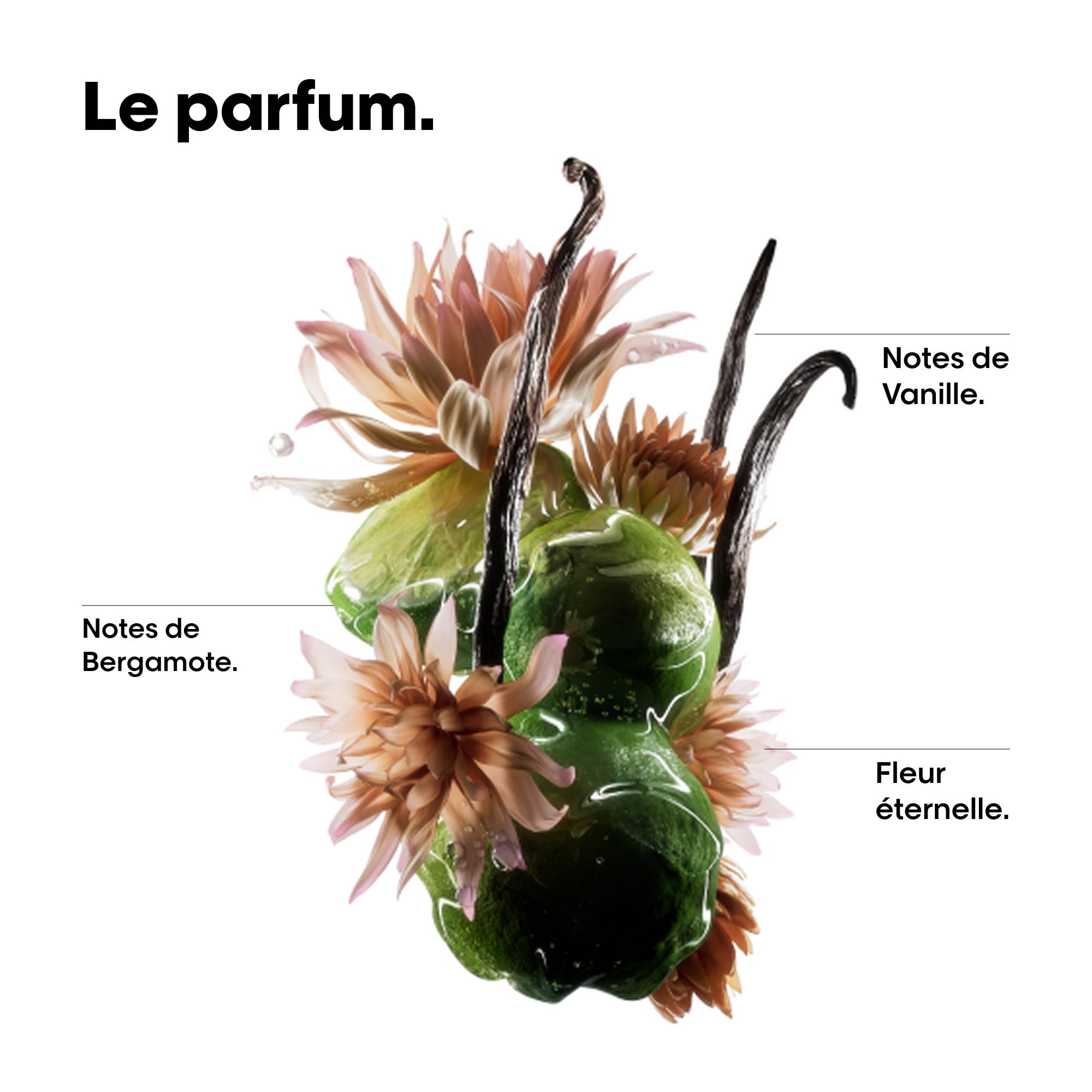 Absolut Repair Molecular Huile Bi-Phase Réparatrice 30 ml – Image 4